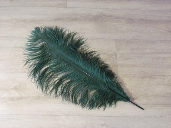 1 Straußenfeder 45 bis 50 cm flaschengrün