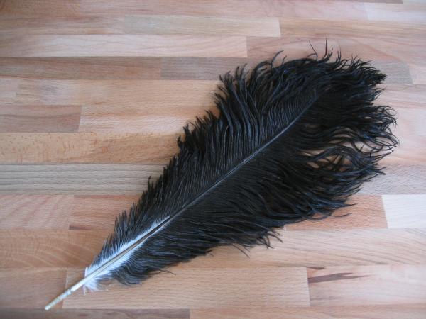Straußenfeder 40 bis 45 cm naturschwarz