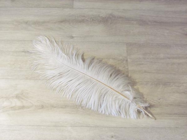 1 Straußenfeder 45 bis 50 cm weiß