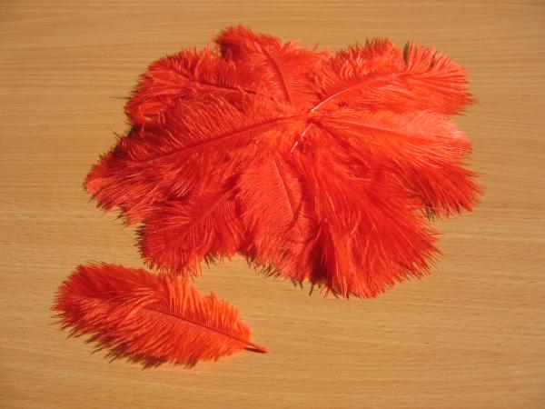 30 kleine Straußenfedern 5 bis 12 cm altorange