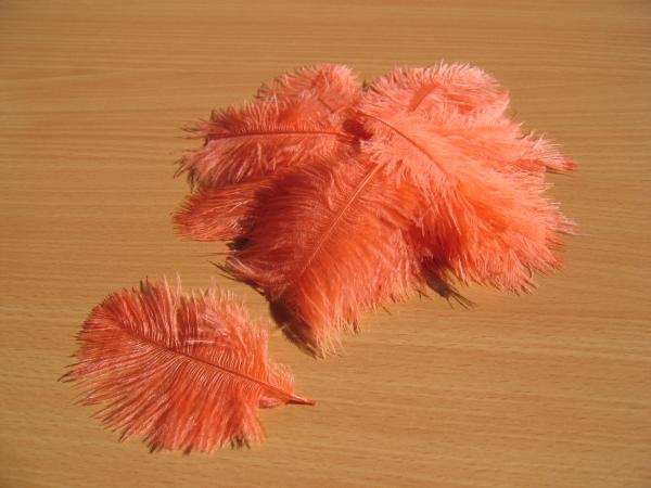 30 kleine Straußenfedern 5 bis 12 cm apricot