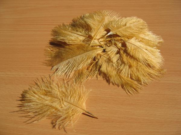 30 kleine Straußenfedern 5 bis 12 cm beige