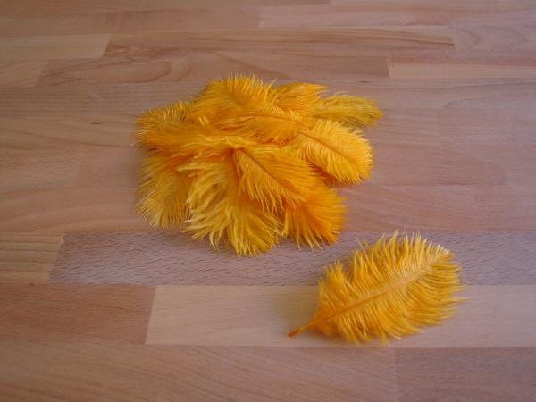 30 kleine Straußenfedern 5 bis 12 cm dottergelb