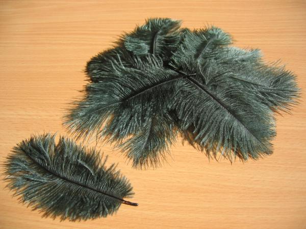 30 kleine Straußenfedern 5 bis 12 cm flaschengrün