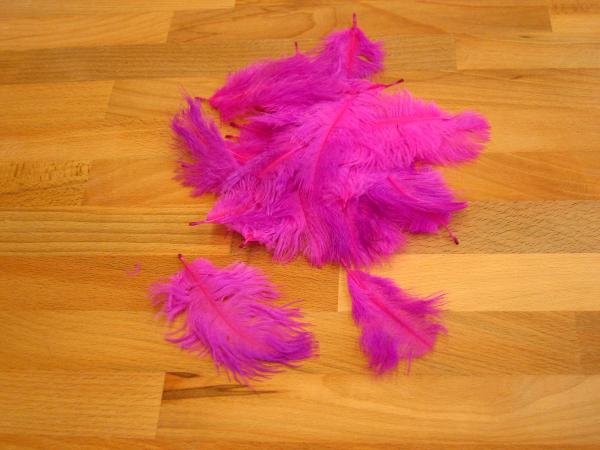 30 kleine Straußenfedern 5 bis 12 cm fuchsie B-Ware