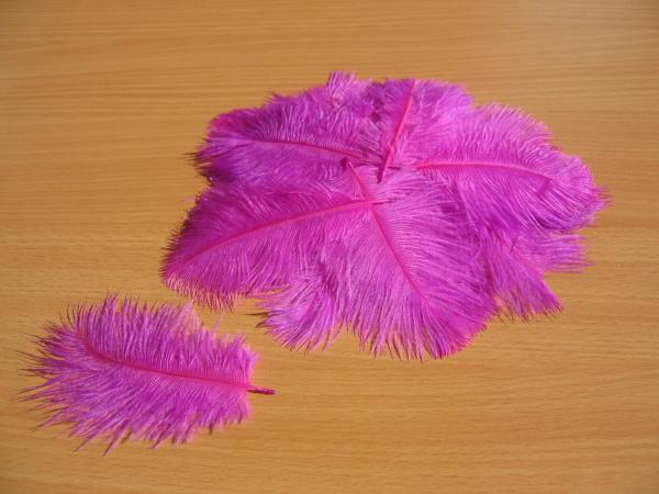 30 kleine Straußenfedern 5 bis 12 cm fuchsie