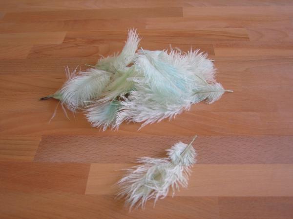 30 kleine Straußenfedern 5 bis 12 cm hellmint B-Ware