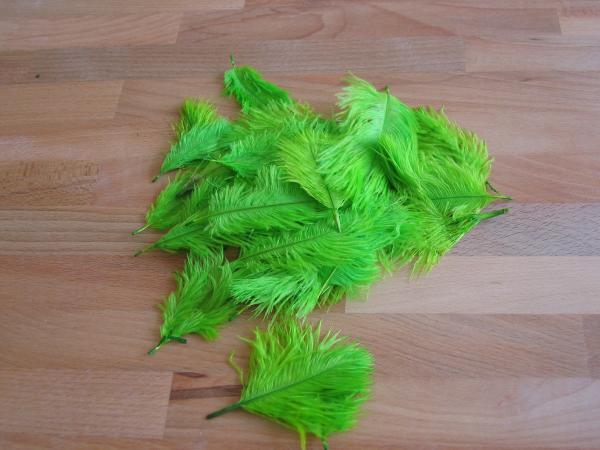 30 kleine Straußenfedern 5 bis 12 cm limonengrün B-Ware