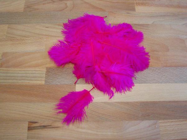 30 kleine Straußenfedern 5 bis 12 cm magenta B-Ware