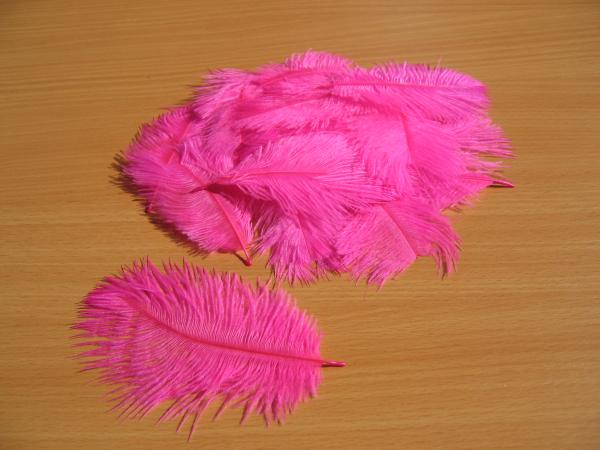 30 kleine Straußenfedern 5 bis 12 cm pink