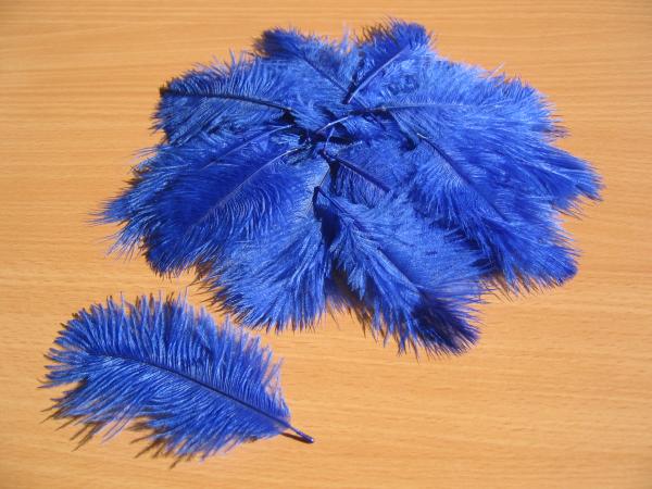 30 kleine Straußenfedern 5 bis 12 cm dunkelblau