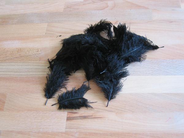 30 kleine Straußenfedern 5 bis 12 cm schwarz B-Ware