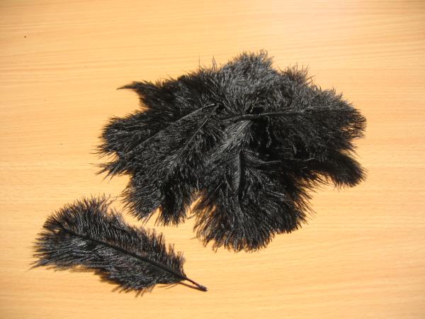 30 kleine Straußenfedern 5 bis 12 cm schwarz