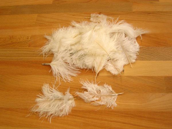 30 kleine Straußenfedern 5 bis 12 cm weiß B-Ware