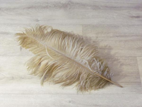 1 Straußenfeder 50 bis 60 cm altgold B-Ware