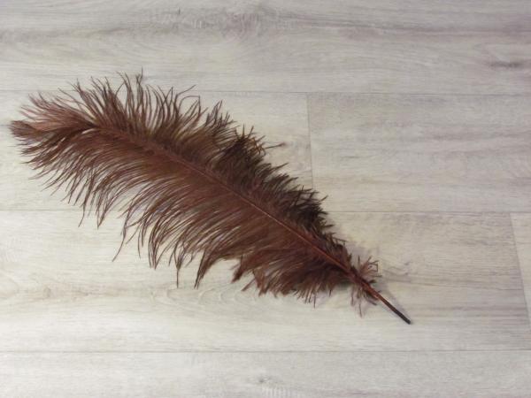 1 Straußenfeder 50 bis 60 cm braun B-Ware