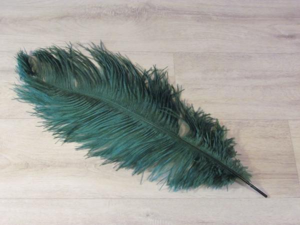 1 Straußenfeder 50 bis 60 cm flaschengrün B-Ware
