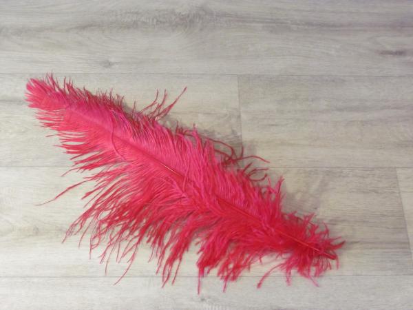 1 Straußenfeder 50 bis 60 cm kirschrot B-Ware