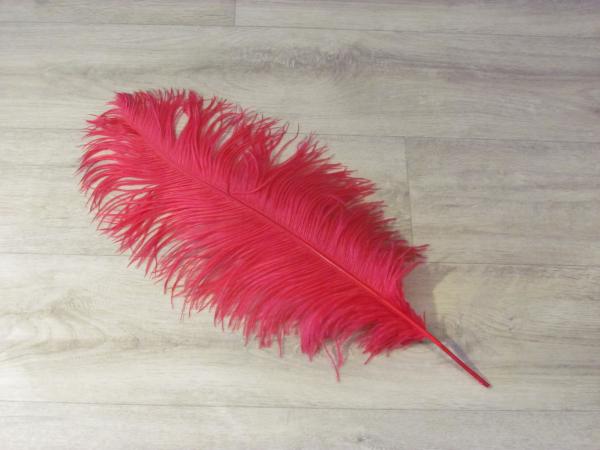 1 Straußenfeder 50 bis 60 cm kirschrot