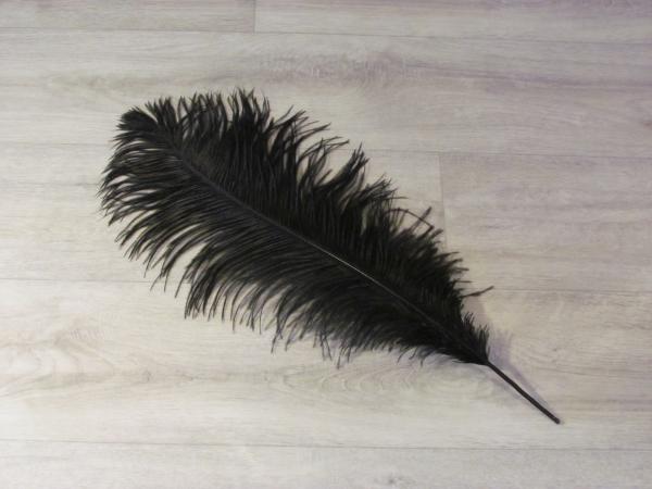1 Straußenfeder 50 bis 60 cm schwarz