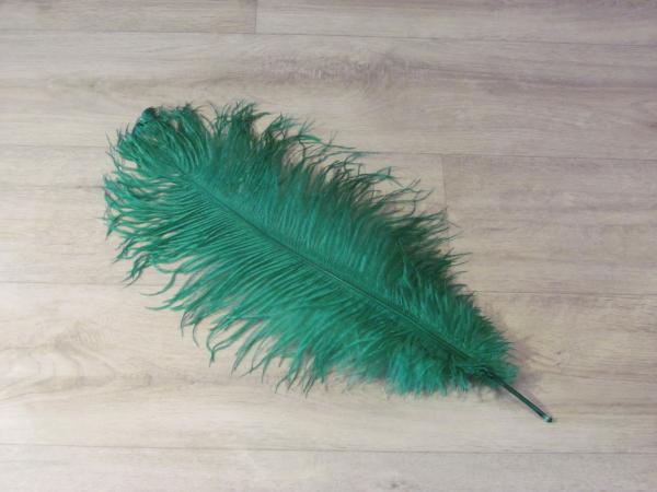 1 Straußenfeder 50 bis 60 cm smaragdgrün