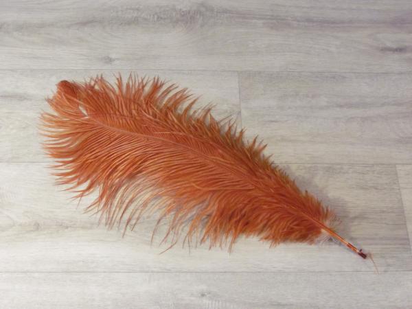 1 Straußenfeder 50 bis 60 cm toast B-Ware