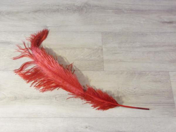 1 Straußenfeder 50 bis 60 cm weinrot B-Ware