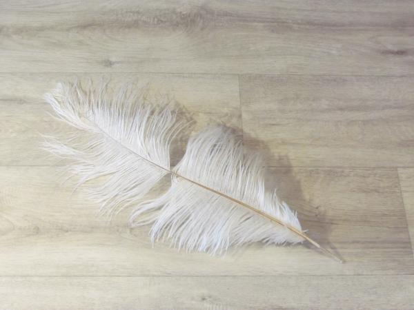 1 Straußenfeder 50 bis 60 cm weiß B-Ware