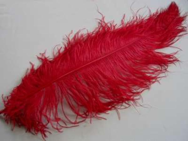 1 Straußenfeder 60 bis 70 cm weinrot