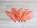 5 Straußenfedern 20 bis 25 cm apricot