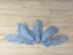 5 Straußenfedern 20 bis 25 cm himmelblau